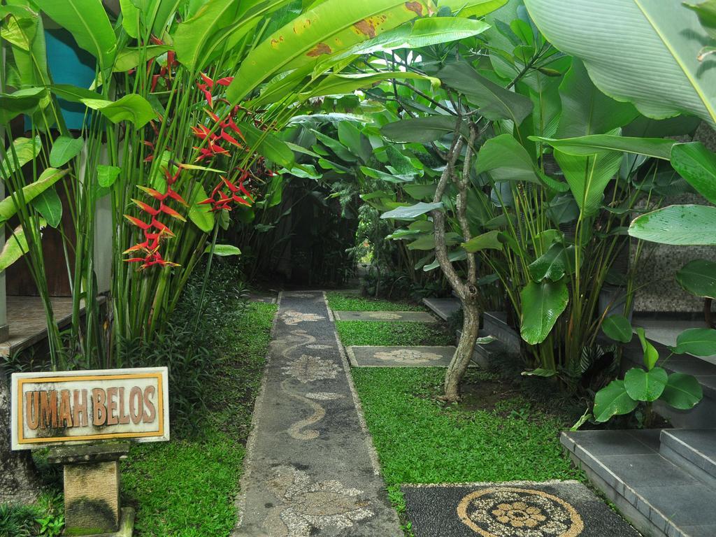 Umah Belos Ubud Buitenkant foto